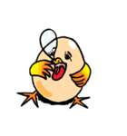 Mr＆Mrs. Egg（個別スタンプ：30）