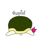 A Little Turtle "Pan Pan"（個別スタンプ：7）