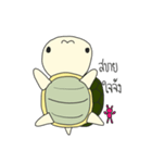 A Little Turtle "Pan Pan"（個別スタンプ：27）