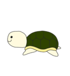 A Little Turtle "Pan Pan"（個別スタンプ：38）