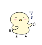 ぴよっこピヨタ。（個別スタンプ：3）