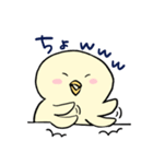 ぴよっこピヨタ。（個別スタンプ：6）
