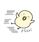 ぴよっこピヨタ。（個別スタンプ：19）