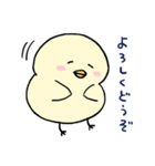 ぴよっこピヨタ。（個別スタンプ：21）