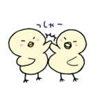 ぴよっこピヨタ。（個別スタンプ：34）