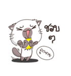 Meow the Meaw（個別スタンプ：12）