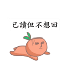 Mr. orange daily languages（個別スタンプ：40）