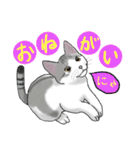 エナにゃん（個別スタンプ：34）