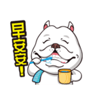 Silly cow doo（個別スタンプ：21）