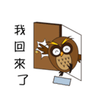 Owl's daily languages（個別スタンプ：12）