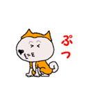 日本 柴犬 10（個別スタンプ：9）