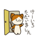 猫のけーいち（個別スタンプ：5）