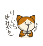 猫のけーいち（個別スタンプ：9）