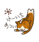 猫のけーいち（個別スタンプ：19）