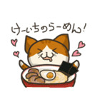 猫のけーいち（個別スタンプ：24）