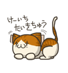 猫のけーいち（個別スタンプ：30）