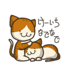 猫のけーいち（個別スタンプ：39）