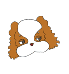momoge the boy daily 1（個別スタンプ：40）