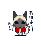 猫柳さん（個別スタンプ：13）