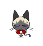 猫柳さん（個別スタンプ：31）