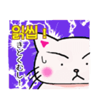 かばん猫 韓国語（個別スタンプ：16）