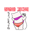 かばん猫 韓国語（個別スタンプ：26）