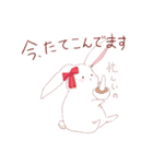 薬学うさぎ（個別スタンプ：6）