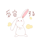 薬学うさぎ（個別スタンプ：38）