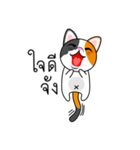 Num Chok Calico Cat（個別スタンプ：3）