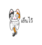 Num Chok Calico Cat（個別スタンプ：13）