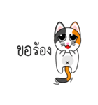 Num Chok Calico Cat（個別スタンプ：20）