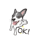 I love Taiwan Dogs (English)（個別スタンプ：11）