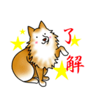 茶犬たち（個別スタンプ：4）