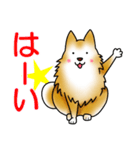 茶犬たち（個別スタンプ：5）