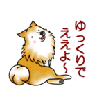 茶犬たち（個別スタンプ：7）