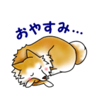 茶犬たち（個別スタンプ：9）