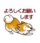 茶犬たち（個別スタンプ：10）