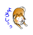 茶犬たち（個別スタンプ：11）