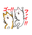 茶犬たち（個別スタンプ：15）