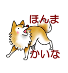 茶犬たち（個別スタンプ：21）