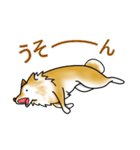 茶犬たち（個別スタンプ：23）