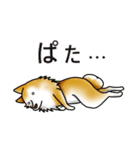 茶犬たち（個別スタンプ：27）