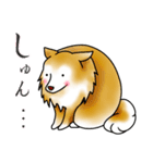 茶犬たち（個別スタンプ：28）