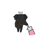 Taiwan's Black Dog（個別スタンプ：5）