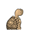 Tortoise diary - Part.4（個別スタンプ：4）