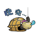 Tortoise diary - Part.4（個別スタンプ：18）