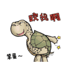 Tortoise diary - Part.4（個別スタンプ：25）