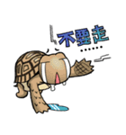 Tortoise diary - Part.4（個別スタンプ：30）