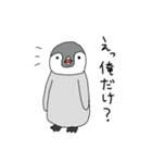 メガネと白衣と動物と（個別スタンプ：37）