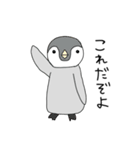 メガネと白衣と動物と（個別スタンプ：39）